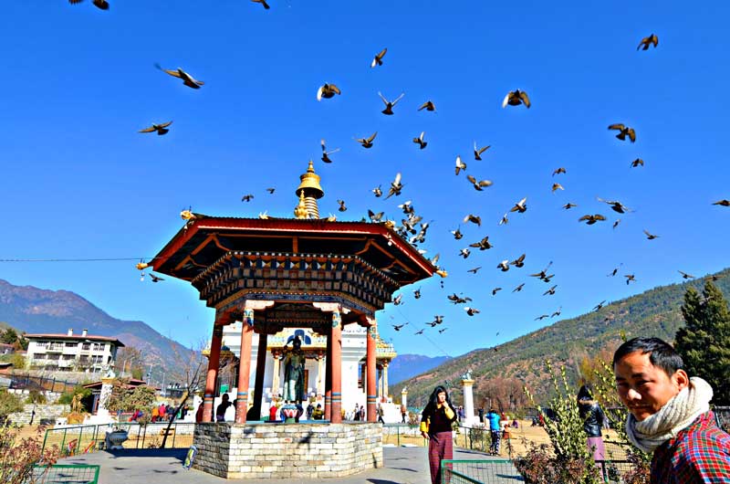 Sikkim Tour OPERATOR 