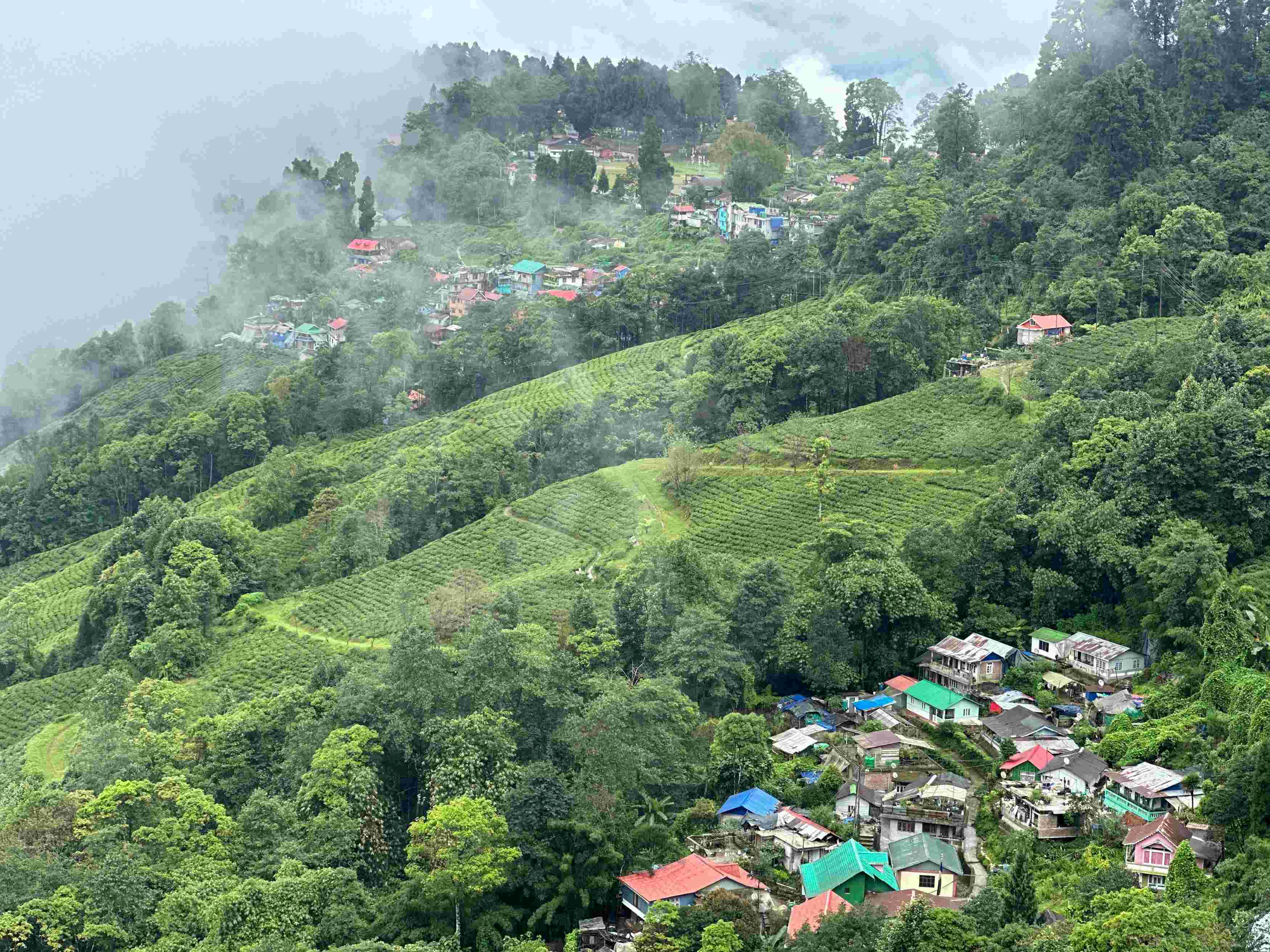 Darjeeling Tour Packages Under 10000 for Couple