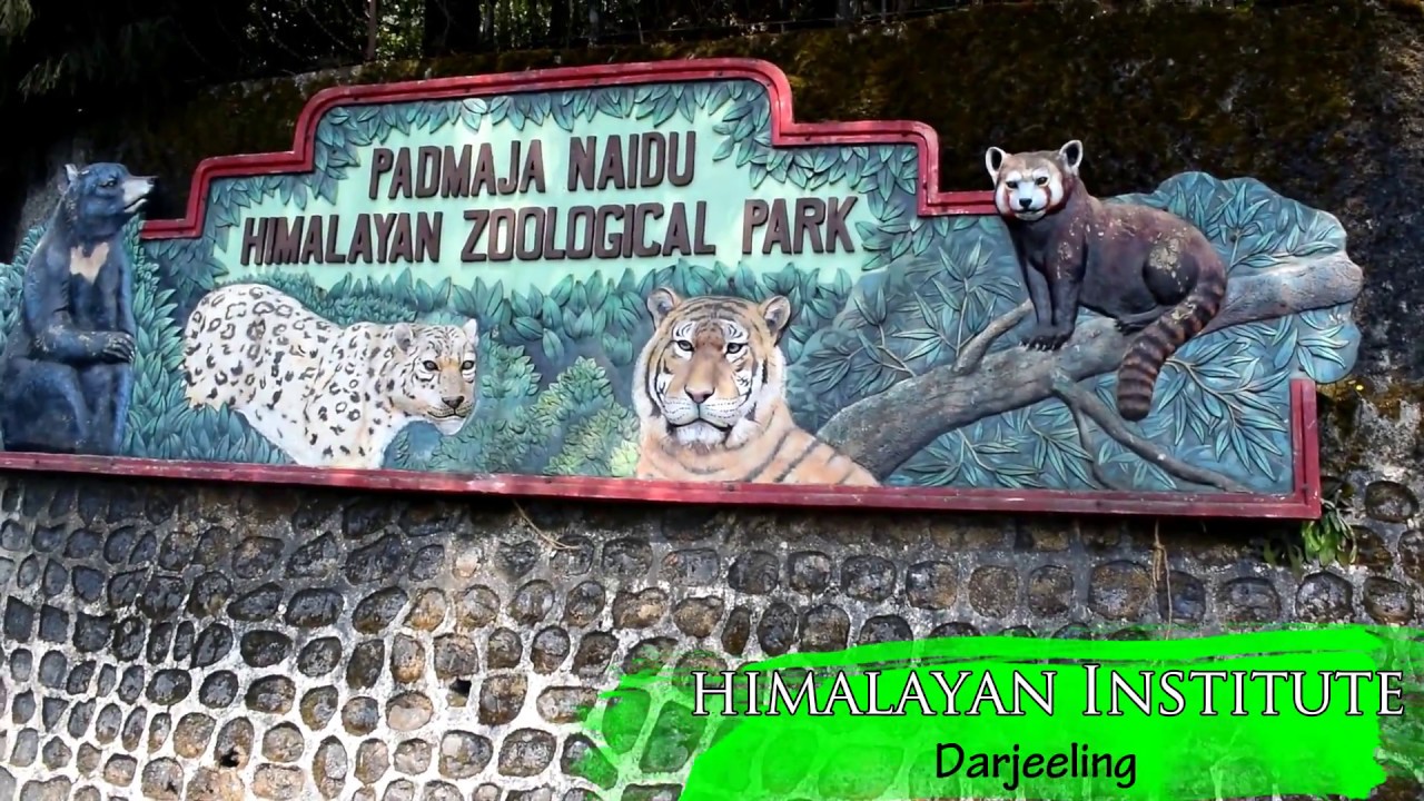 Padmaja Naidu Himalayan Zoological Park