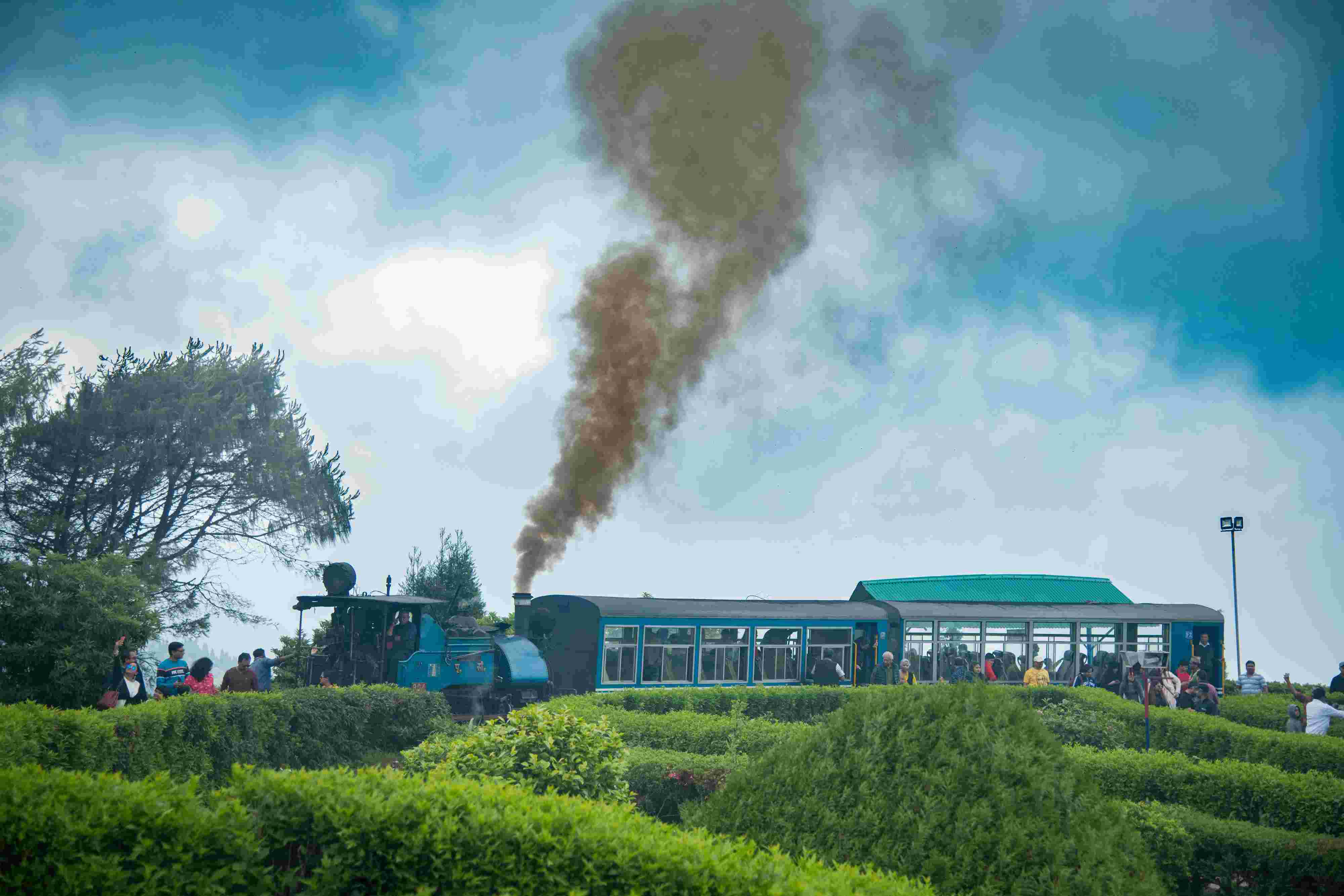 Darjeeling tour packages under 5000 for family