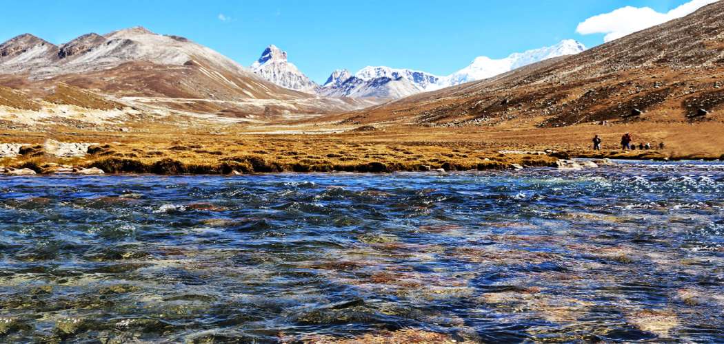 Sizzling Sikkim with Pelling and Darjeeling