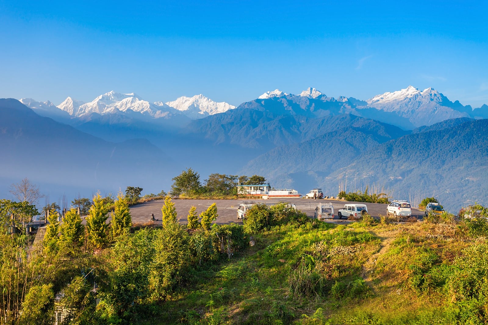 Pelling 