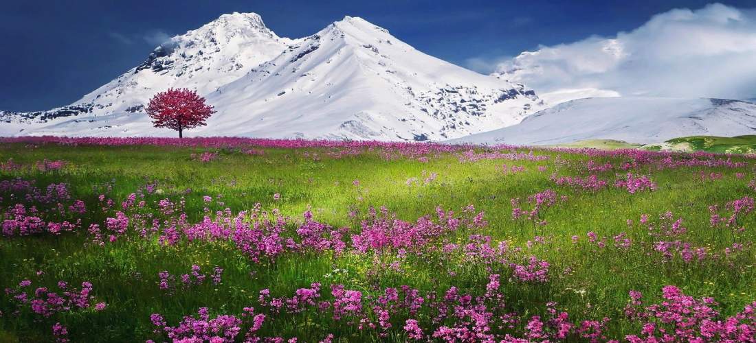 North Sikkim Glitters