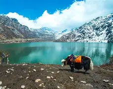 Siliguri Darjeeling Gangtok tour package